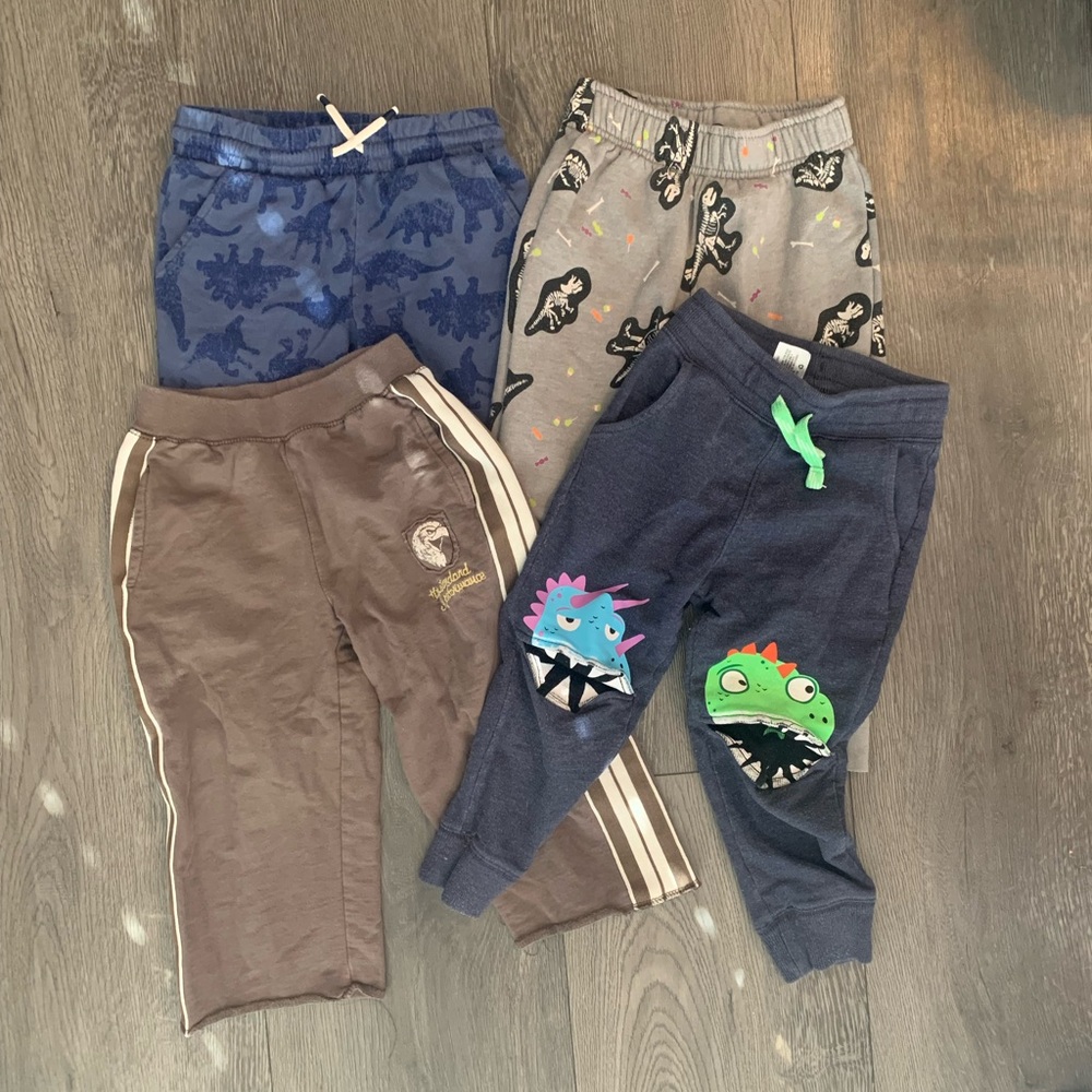 Kids Dino Print Jogger Pants - 3t. Easy up and down. Potty training set.